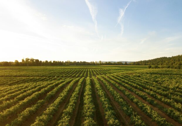 Importations agricoles : le ministère met fin à l’opacité avec une nouvelle plateforme