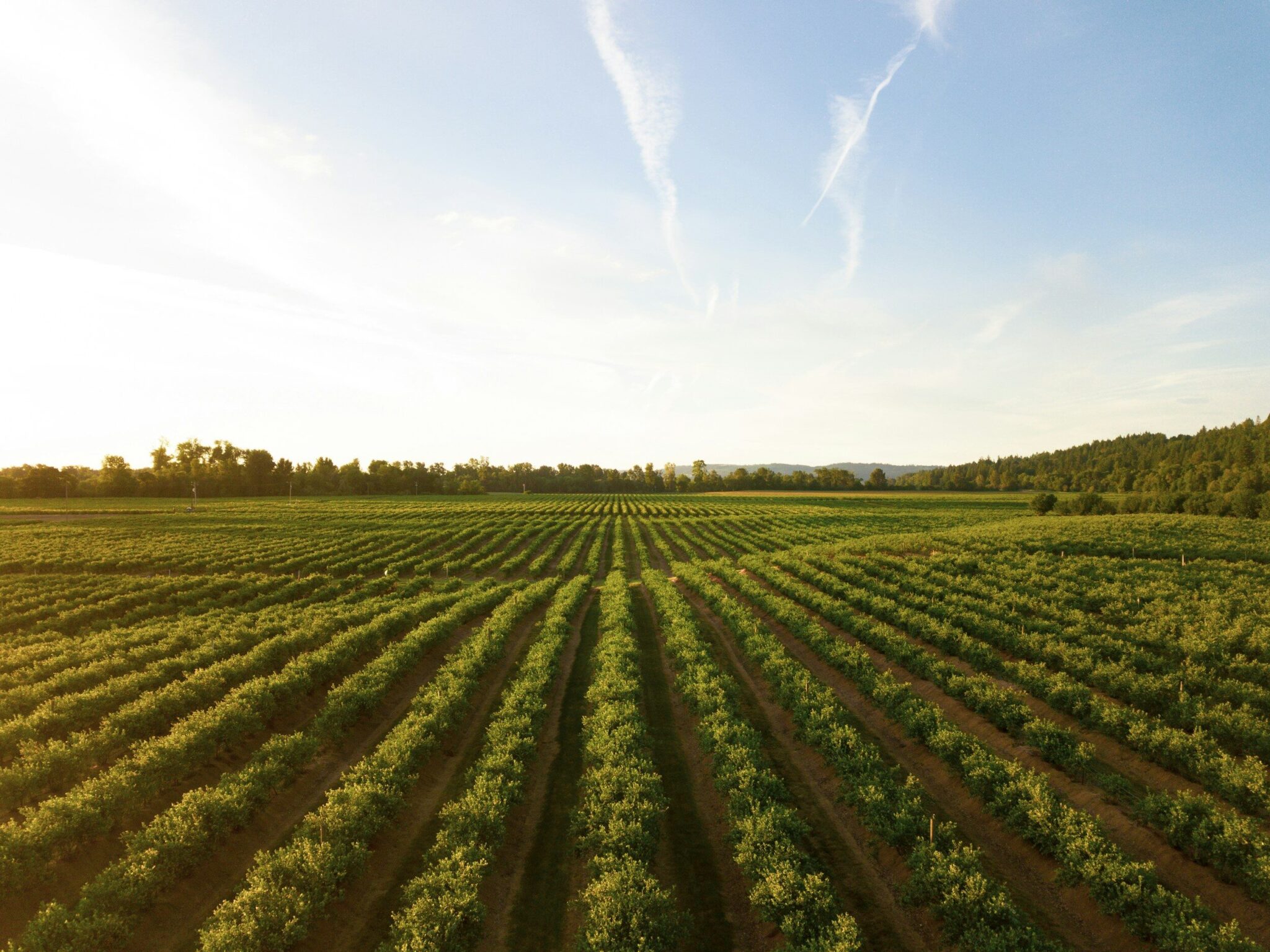 Importations agricoles : le ministère met fin à l’opacité avec une nouvelle plateforme