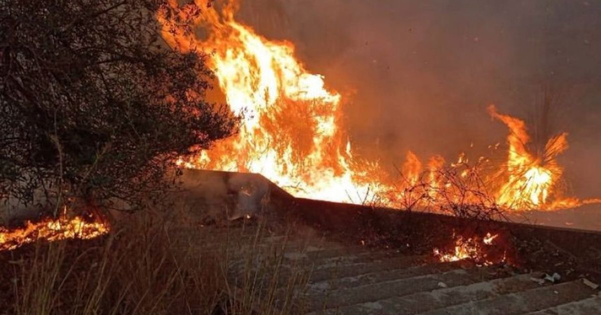 Face aux feux ravageurs à Annaba : la DSA lance un appel urgent aux agriculteurs