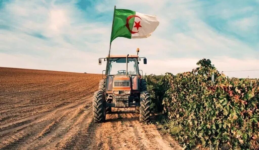 Cette filière agricole dépasse les attentes avec une récolte abondante en 2026