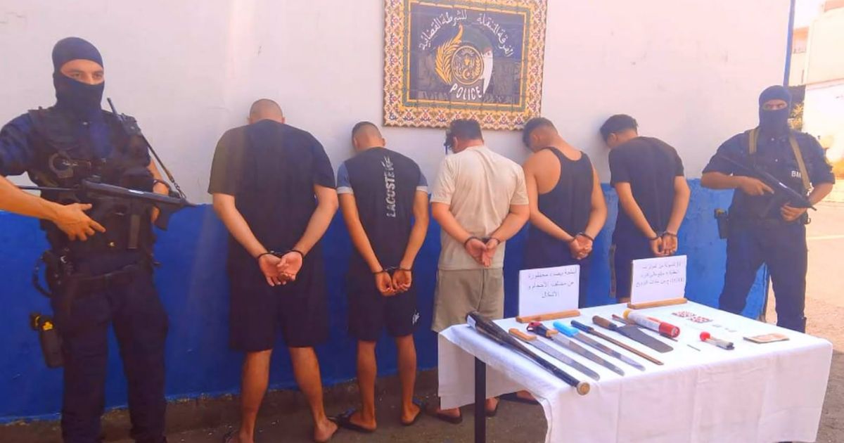 42 individus interpellés à Alger : Coup de filet spectaculaire contre les gangs de quartiers