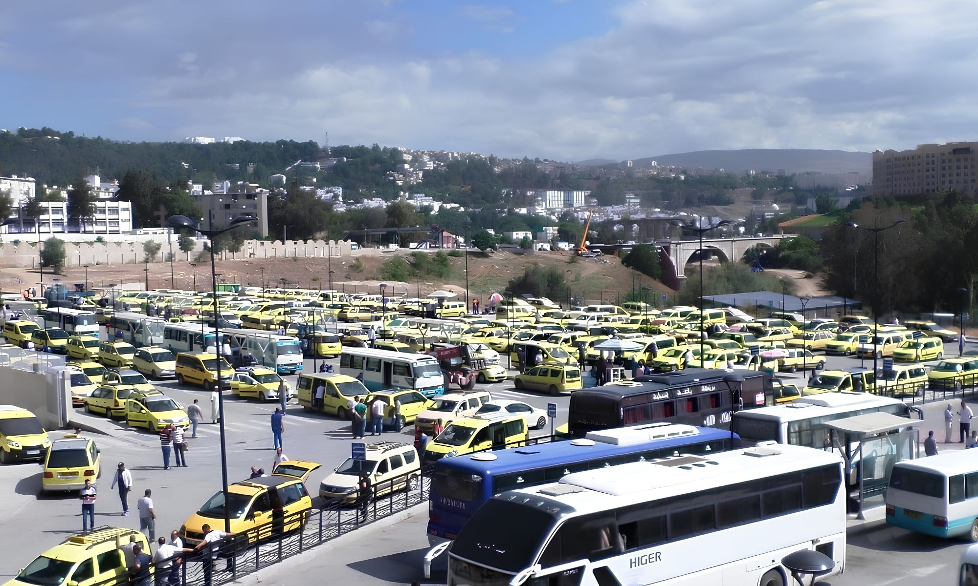 Transport en Algérie : les professionnels du secteur lancent un appel urgent à Tebboune