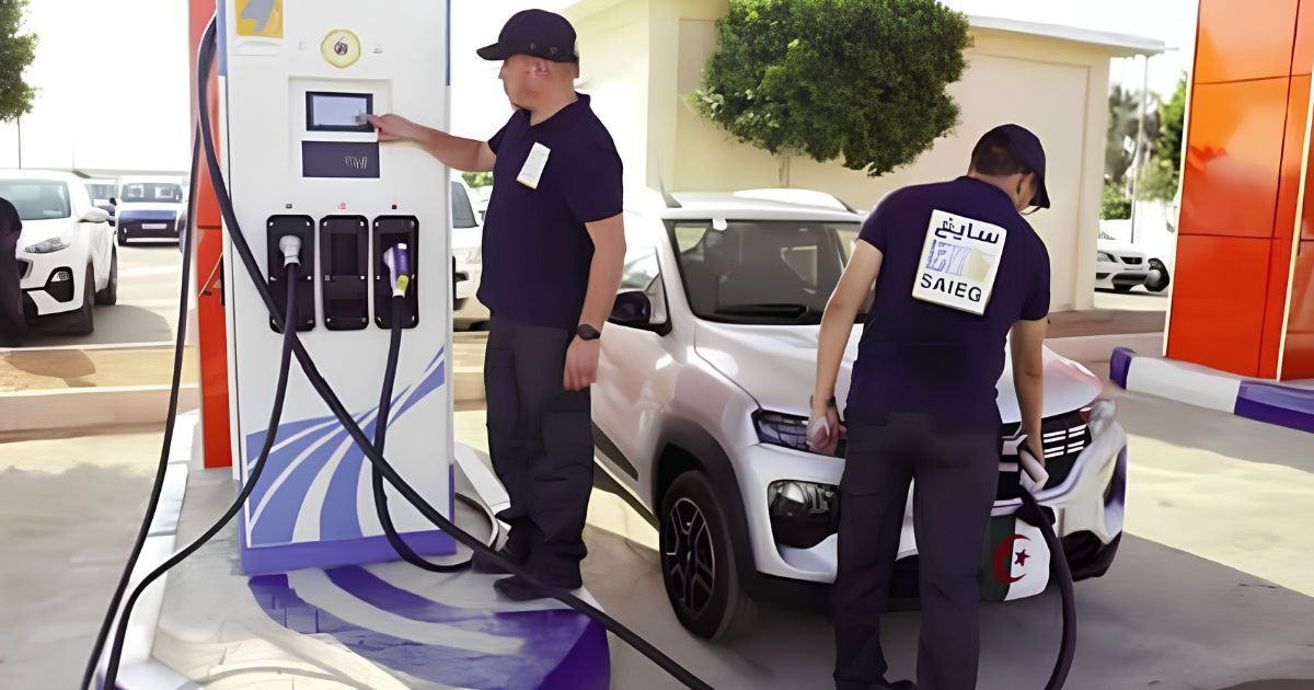 Après le Portugal, les bornes de recharge « Made in Algeria » en route pour l’Italie